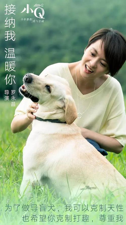 注册Bitz的日本KYC认证资料